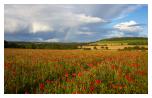 slides/Rainbow.jpg south downs national park,summer,poppies,clouds,rainbow,beautiful,relaxing,sunset,simon parsons Rainbow